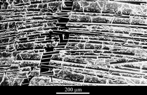 Ceramic-matrix composites survive heat by managing damage