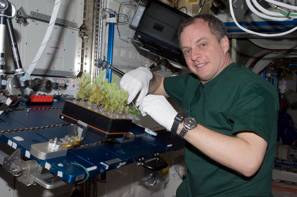 Flexible electronics fail when the package cannot bend with them
